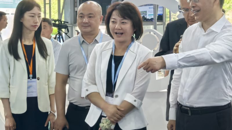汽车零部件批发价格表：揭秘价格波动背后的真相